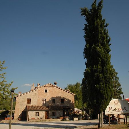 Molenda B&B Citta di Castello Exterior photo