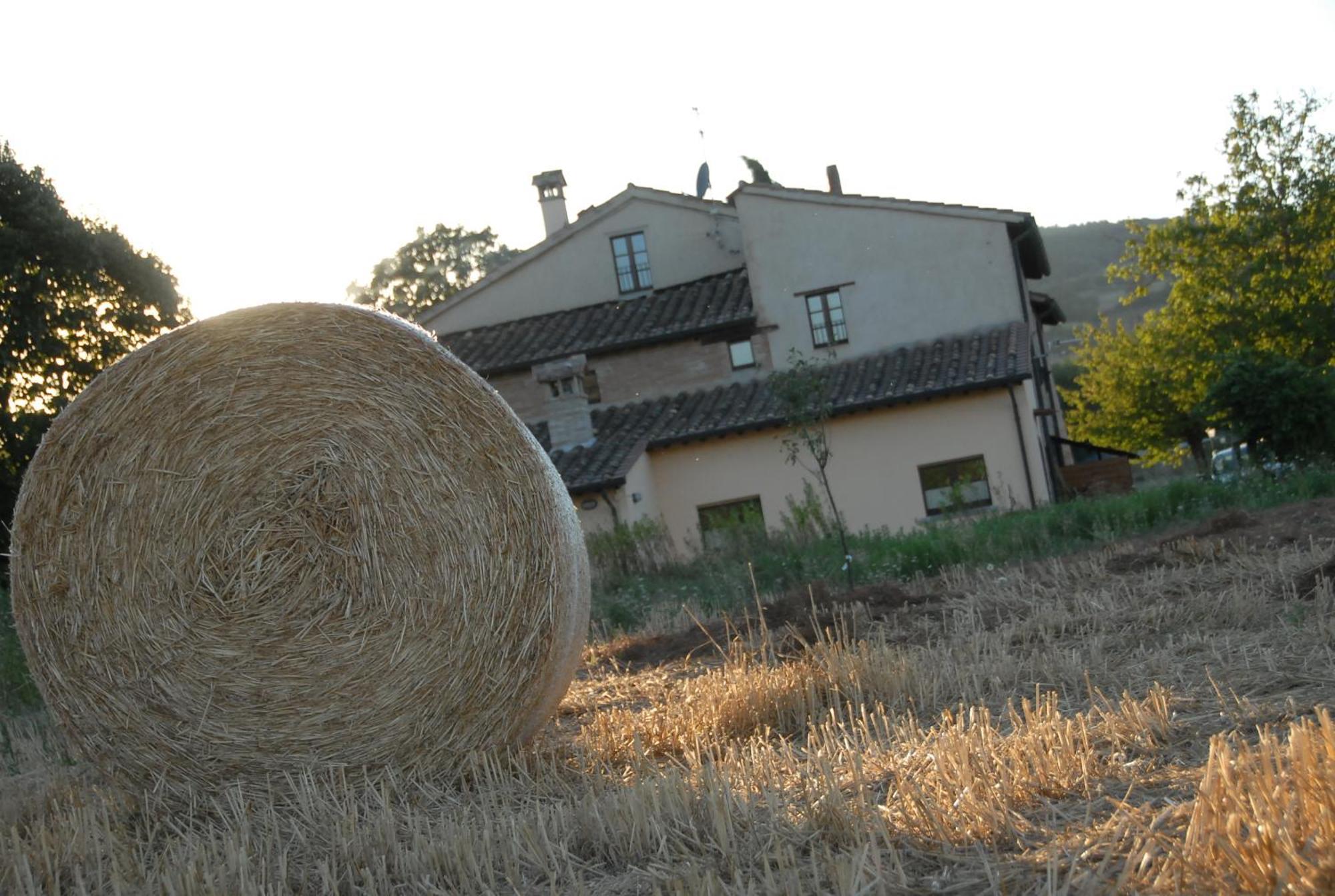 Molenda B&B Citta di Castello Exterior photo